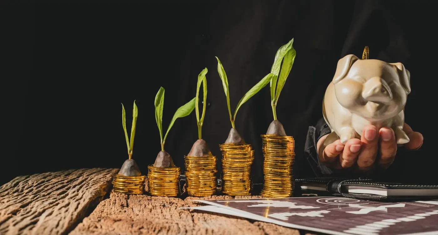 How Can I Fund App Growth Without New Investors?