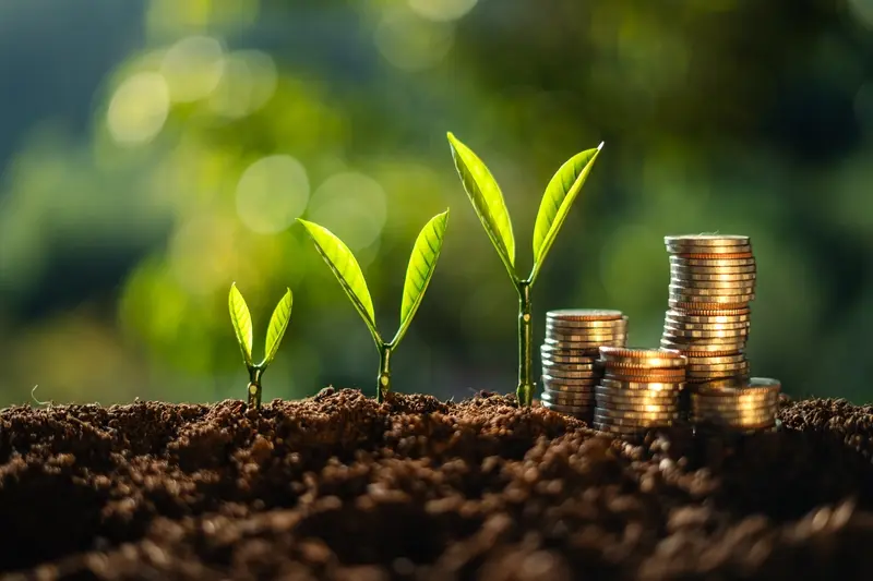 What Are the Different Types of Funding Available for a Mobile App?