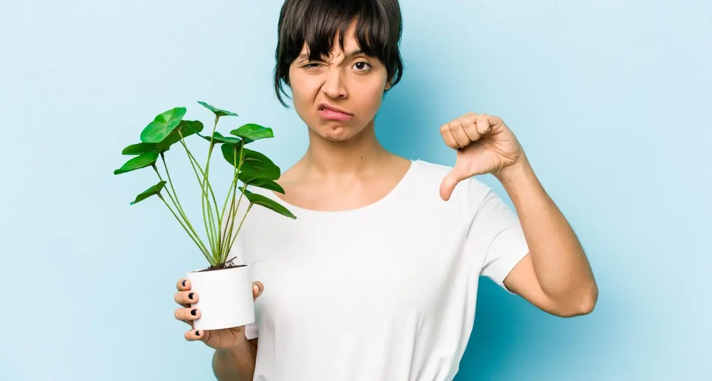 What Stops Successful Apps From Growing After Two Years?