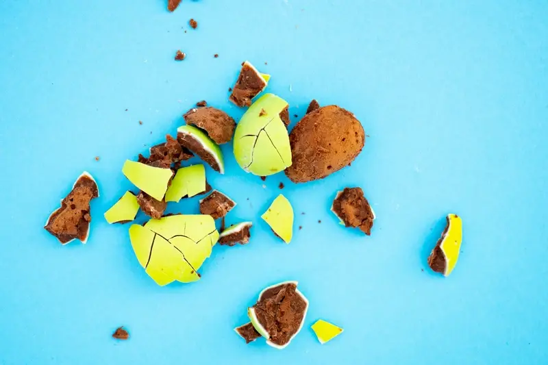 Will A Mobile App Damage Our Brand?